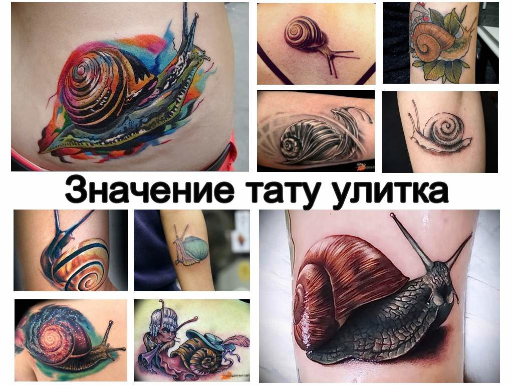 Значение тату улитка - варианты рисунка и фото примеры готовых татуировок