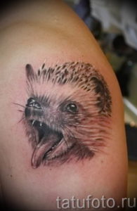 Фото вариант тату ежик 31.07.2019 №027 - tattoo hedgehog - tattoo-photo.ru