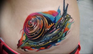 Фото тату улитка 28.07.2019 №003 - snail tattoo - tattoo-photo.ru