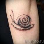 Фото тату улитка 28.07.2019 №007 - snail tattoo - tattoo-photo.ru