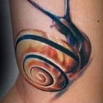Фото тату улитка 28.07.2019 №012 - snail tattoo - tattoo-photo.ru
