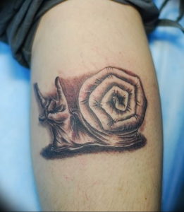 Фото тату улитка 28.07.2019 №025 - snail tattoo - tattoo-photo.ru