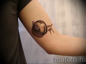 Фото тату улитка 28.07.2019 №027 - snail tattoo - tattoo-photo.ru