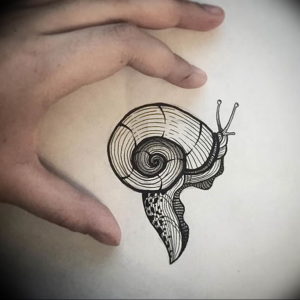 Фото тату улитка 28.07.2019 №050 - snail tattoo - tattoo-photo.ru