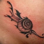 Фото тату улитка 28.07.2019 №052 - snail tattoo - tattoo-photo.ru