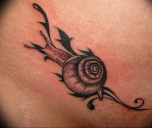 Фото тату улитка 28.07.2019 №052 - snail tattoo - tattoo-photo.ru
