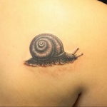 Фото тату улитка 28.07.2019 №069 - snail tattoo - tattoo-photo.ru