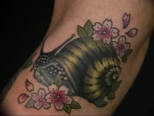 Фото тату улитка 28.07.2019 №086 - snail tattoo - tattoo-photo.ru
