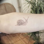 Фото тату улитка 28.07.2019 №092 - snail tattoo - tattoo-photo.ru