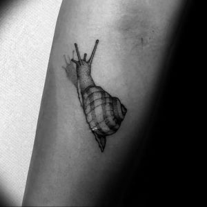 Фото тату улитка 28.07.2019 №095 - snail tattoo - tattoo-photo.ru