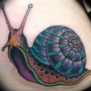 Фото тату улитка 28.07.2019 №102 - snail tattoo - tattoo-photo.ru