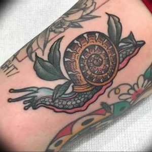 Фото тату улитка 28.07.2019 №104 - snail tattoo - tattoo-photo.ru