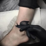 Фото тату улитка 28.07.2019 №132 - snail tattoo - tattoo-photo.ru