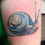 Фото тату улитка 28.07.2019 №138 - snail tattoo - tattoo-photo.ru