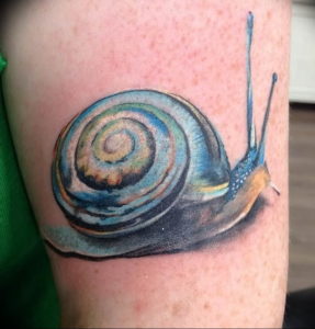 Фото тату улитка 28.07.2019 №138 - snail tattoo - tattoo-photo.ru