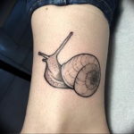 Фото тату улитка 28.07.2019 №139 - snail tattoo - tattoo-photo.ru