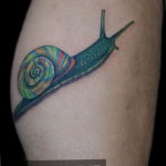 Фото тату улитка 28.07.2019 №140 - snail tattoo - tattoo-photo.ru