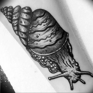 Фото тату улитка 28.07.2019 №159 - snail tattoo - tattoo-photo.ru