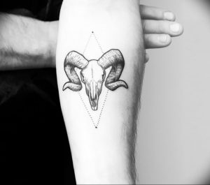 Фото тату череп козла 28.07.2019 №015 - goat skull tattoo - tattoo-photo.ru