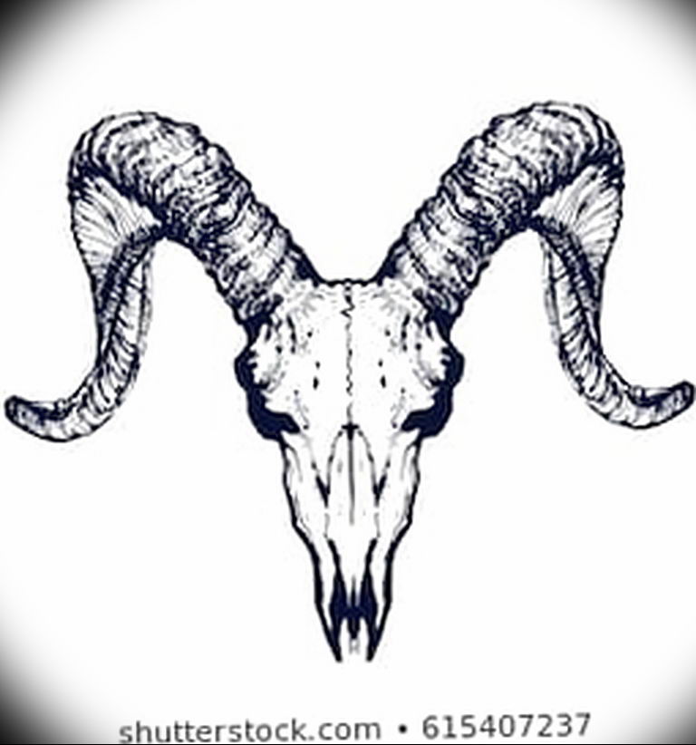 Фото тату череп козла 28.07.2019 № 070 - goat skull tattoo - tattoo-photo.....