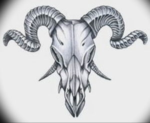 Фото тату череп козла 28.07.2019 №076 - goat skull tattoo - tattoo-photo.ru
