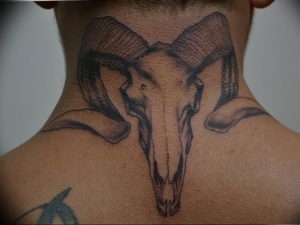 Фото тату череп козла 28.07.2019 №186 - goat skull tattoo - tattoo-photo.ru