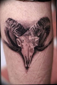 Фото тату череп козла 28.07.2019 №187 - goat skull tattoo - tattoo-photo.ru
