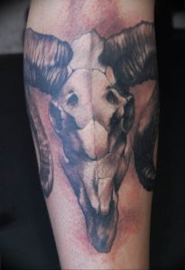 Фото тату череп козла 28.07.2019 №205 - goat skull tattoo - tattoo-photo.ru