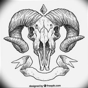 Фото тату череп козла 28.07.2019 №212 - goat skull tattoo - tattoo-photo.ru