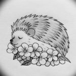 Photo ежик тату эскиз 31.07.2019 №004 - hedgehog tattoo sketch - tattoo-photo.ru