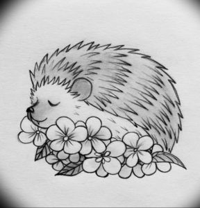 Photo ежик тату эскиз 31.07.2019 №004 - hedgehog tattoo sketch - tattoo-photo.ru