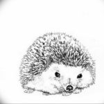 Photo ежик тату эскиз 31.07.2019 №007 - hedgehog tattoo sketch - tattoo-photo.ru