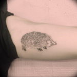 Photo тату ежик 31.07.2019 №010 - tattoo hedgehog - tattoo-photo.ru