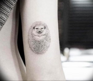 Photo тату ежик 31.07.2019 №012 - tattoo hedgehog - tattoo-photo.ru
