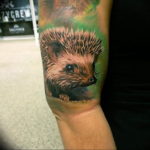 Photo тату ежик 31.07.2019 №027 - tattoo hedgehog - tattoo-photo.ru