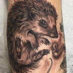 Photo тату ежик 31.07.2019 №037 - tattoo hedgehog - tattoo-photo.ru