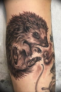 Photo тату ежик 31.07.2019 №037 - tattoo hedgehog - tattoo-photo.ru