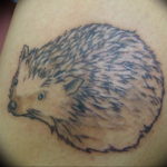 Photo тату ежик 31.07.2019 №043 - tattoo hedgehog - tattoo-photo.ru