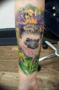 Photo тату ежик 31.07.2019 №056 - tattoo hedgehog - tattoo-photo.ru