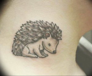 Photo тату ежик 31.07.2019 №062 - tattoo hedgehog - tattoo-photo.ru