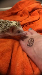 Photo тату ежик 31.07.2019 №073 - tattoo hedgehog - tattoo-photo.ru