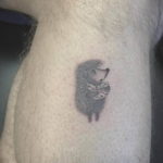 Photo тату ежик в тумане 31.07.2019 №001 - tattoo hedgehog in the fog - tattoo-photo.ru