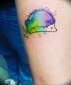 Photo тату ежика на руке 31.07.2019 №004 - tattoo hedgehog on hand - tattoo-photo.ru