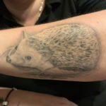 Photo тату ежика на руке 31.07.2019 №010 - tattoo hedgehog on hand - tattoo-photo.ru