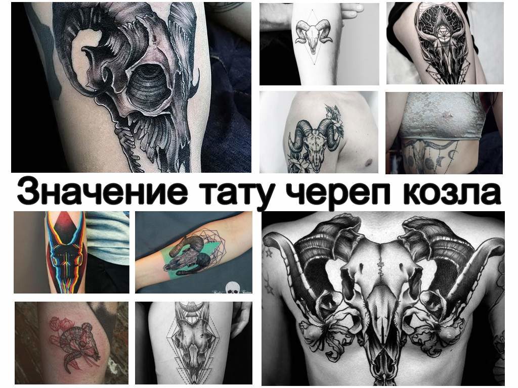 Значение тату череп козла - информация про особенности рисунка татуировки и фото примеры готовых татуировок на теле