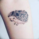 Фото вариант тату ежик 31.07.2019 №002 - tattoo hedgehog - tattoo-photo.ru