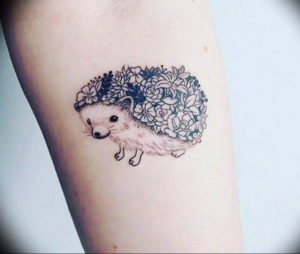 Фото вариант тату ежик 31.07.2019 №002 - tattoo hedgehog - tattoo-photo.ru