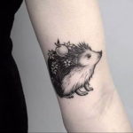 Фото вариант тату ежик 31.07.2019 №003 - tattoo hedgehog - tattoo-photo.ru