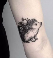 Фото вариант тату ежик 31.07.2019 №003 — tattoo hedgehog — tattoo-photo.ru