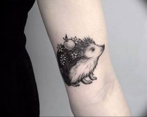Фото вариант тату ежик 31.07.2019 №003 - tattoo hedgehog - tattoo-photo.ru